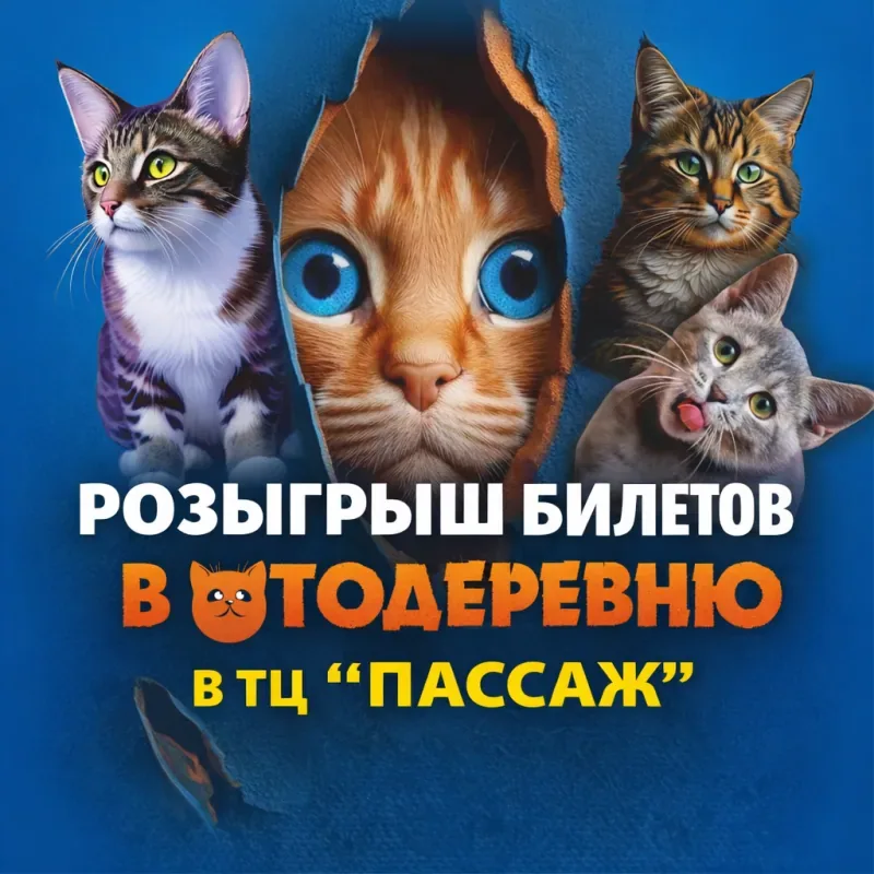 Разыгрываем билеты в Котодеревню в ТЦ «Пассаж»!