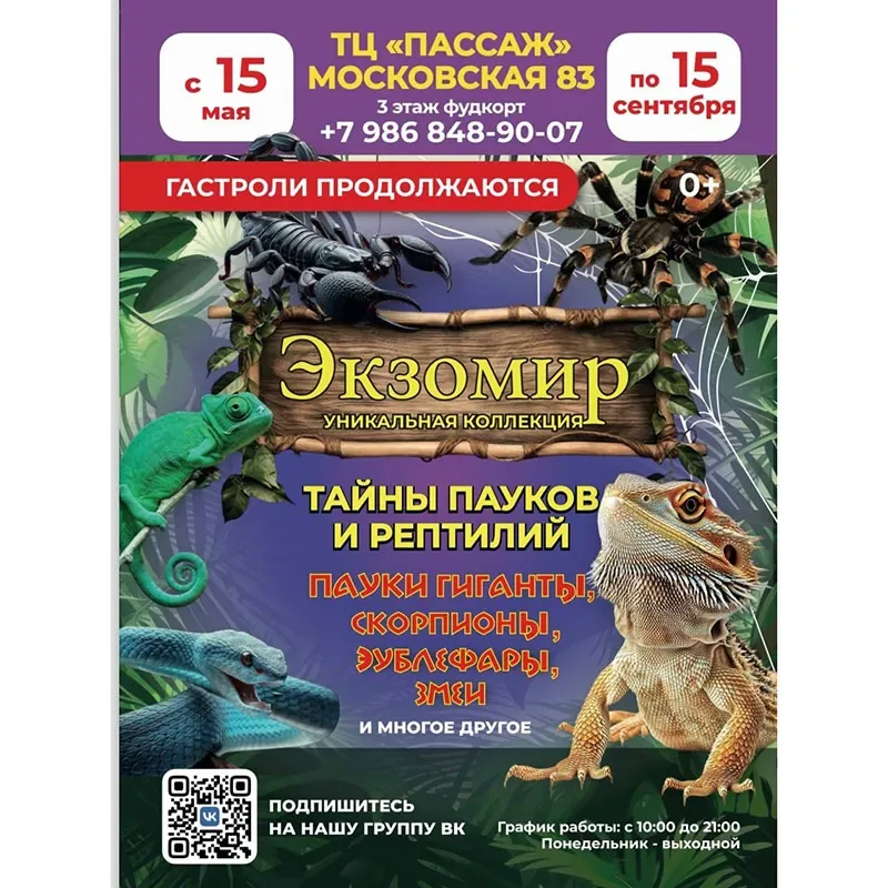 Выставка «ЭкзоМир. Тайны пауков и рептилий» продлевает свою работу до 15 сентября